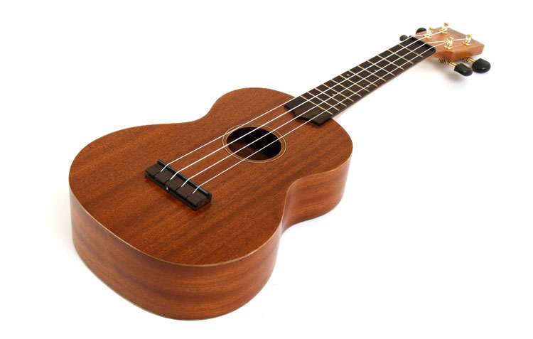 dan-ukulele-3