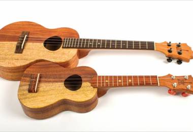 3 website hỗ trợ học đệm hát ukulele